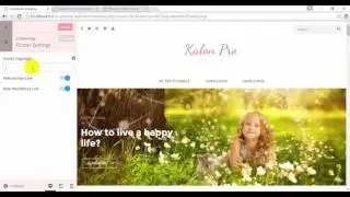 How to edit Footer Credits on Kalon Pro  WordPress Theme