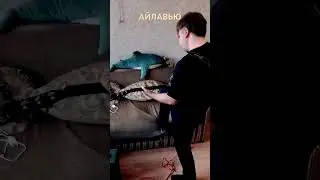 Соло Агаты Кристи Айлавью