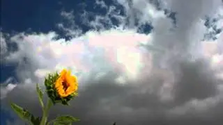 El paso del tiempo.mpg