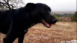 أمزميز،  القرية التي تدمرها أهلها وطبيعتها Amizmiz