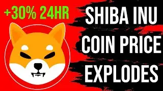 SHIB PRICE EXPLODES - Shiba Inu Coin Price Analysis