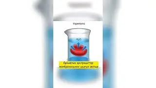 ангина кезінде неге тамақты тұзды сумен шаяды?