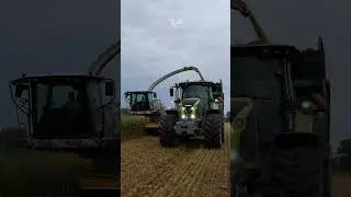 A Particular Jaguar  😮🤔  #agriculture
