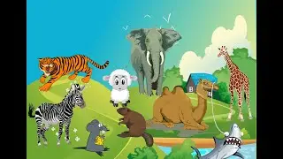 Familiar Animal Sounds for Helping Children Eat Well | COW | LION | SHARK | CAT | DUCK