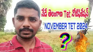 Today Tet notification | Telangana tet notification 2024 | November Tet notification 2024 | Tet 2024