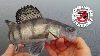 Ловля судака и берша. Тест приманок Mystery Fishing. Мужчины за работой. Открытие сезона 2020.