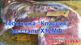 Тест ножа Классик из Х12МФ  Ножи фирмы АТАКА