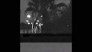 Taz - Somebody Like Me