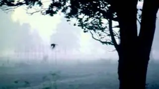 Mist