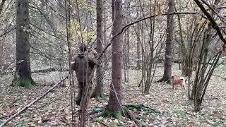 74 е по белке (1/3)