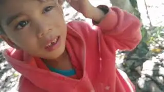 honeybee stingingbee #HoneySweets Recycled Channel
