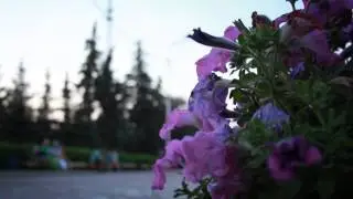Последний день холостяка.