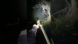 Slingshot. Хитрая щука 