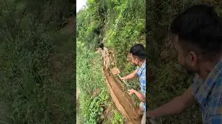 Oo sorry re😆😆#comedy #funny #thapavlog #gaulevlog