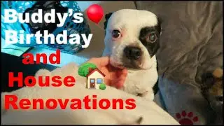 BUDDY'S BIRTHDAY & HOUSE RENOVATIONS!