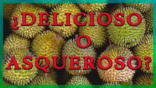 ¿A qué sabe el durian? Probamos la fruta más exquisita de malasia