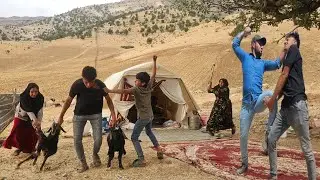 Hojjat's protest against her conviction and conflict at home to sell sheep 