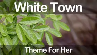 White Town - Theme For Her