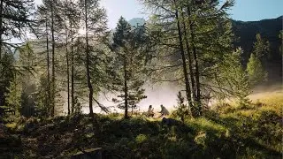 High Points Diving into Nature