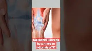 Dizimdeki kıkırdak hasarı neden iyileşmiyor??? 