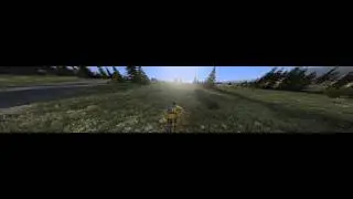 dayz low graphics test
