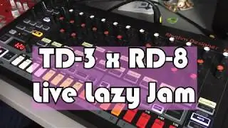 Another Behringer TD3 & RD8 live jam