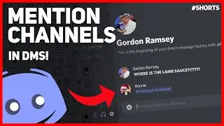 How To Mention Channels in DMs! 