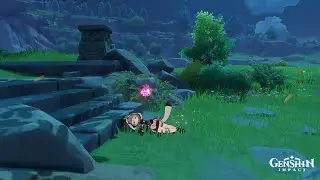 Genshin Impact Bug Sayu Die on Plunge
