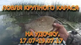 ЛОВЛЯ КРУПНОГО КАРАСЯ НА УДОЧКУ.17.07-19.07.17.