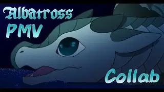 Albatross PMV || Collab || (Wings of Fire)