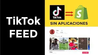 Feed de TikTok para Shopify sin aplicaciones 2023