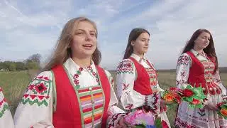 Voronovsky district. The route has been built.