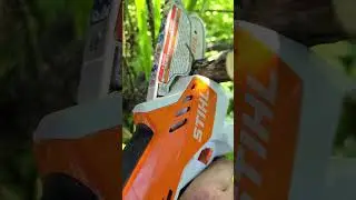 STIHL GTA 26 Pruner Saw In Action #shorts