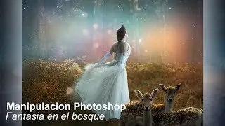 Manipulacion Photoshop Fantasia en el bosque