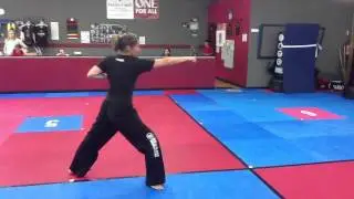 In Wha 1 - TAEKWONDO SONGAHM