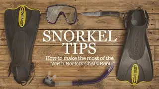 Snorkel Tips for the North Norfolk Chalk Reef at Sheringham - how, where & when