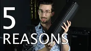 5 Reasons You Should Hire ME