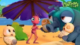 Bugs on the Beach! | Antiks 🐜 | Funny Cartoons for Kids