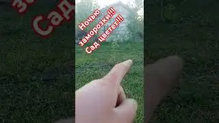 #садмечты Сад перед заморозками