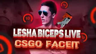 Утренний Cs.go faceit 10 lvl чисто на пару каток