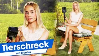 Monika Garten bleibt ohne ungebetene Gäste mit diesem Tierschreck | 