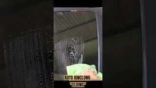 JAMUR KACA AUTO KABUR | cepat dan simple bersihin jamur kaca 