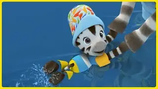 ЗОУ играет в воде | Специальная компиляция | 1 час | ЗЕО на русском языке 🦓