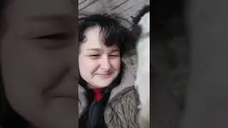 Адмирал и Беркут соскучились по поцелуйчикам #лошади #конюшня #животные