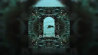 Matt Van – is what it is (Official Audio)