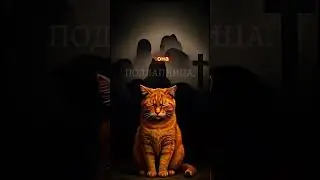 #кошка