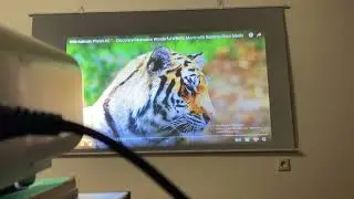 Экран для проектора SHAKACHU SW, настенно потолочный, ручной, белый каркасный ПВХ. Ссылки в описании