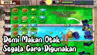 Segala Cara Dilakukan Agar Bisa Makan Otak‼️Plants vs Zombies