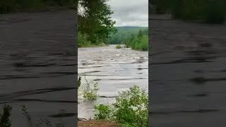 High levels of water flow in the river Ljungan, Sweden. Grenforsen, Sundsvall