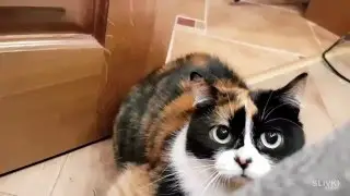 10 ЛАЙФХАКОВ КОТОРЫЕ УПРОСТЯТ ВАШУ ЖИЗНЬ